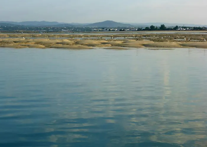 別荘 Casa Ibaia, Tipica E Acolhedora No Centro De